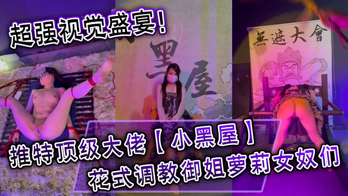 超强视觉盛宴推特顶级大佬小黑屋订阅最全完整视图集花式调教御姐萝莉女奴们}