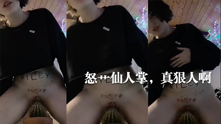 怒艹仙人掌真狠人啊}