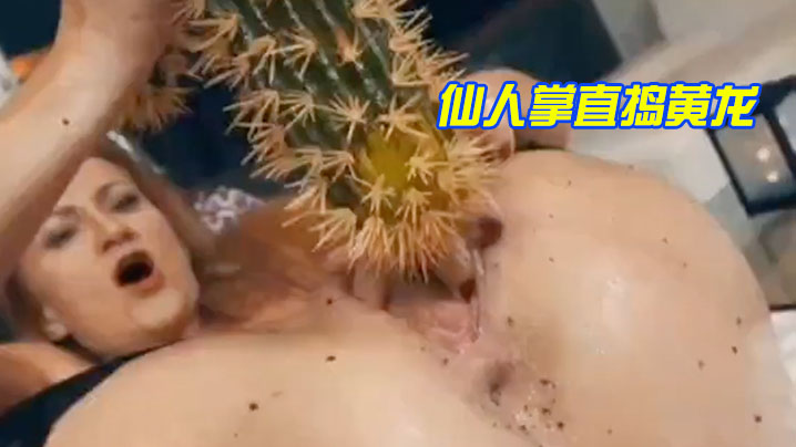 仙.人掌.直捣黄.龙}