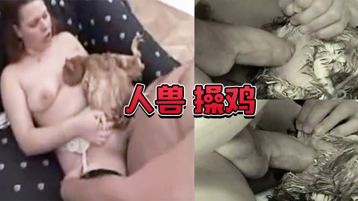 人兽操鸡操鸡屁眼是什么感觉}